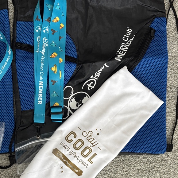 Disney Vacation Club bundle-Firm price - Picture 4 of 4